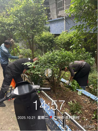 1762161970188849.png 8bb37e219dafdcad7abbe94bfca7c8f0.png